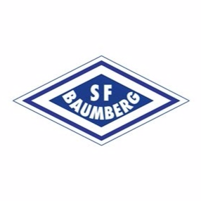 VFB汉堡格